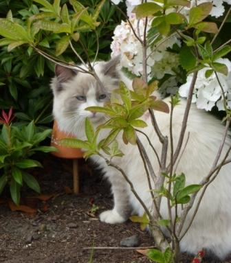 Ella en Juillet 2010