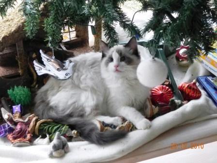 091.jpg