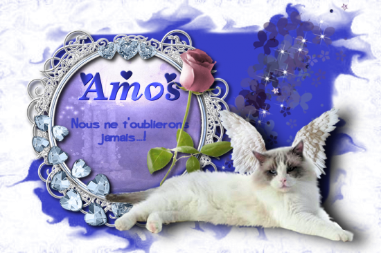 Amos